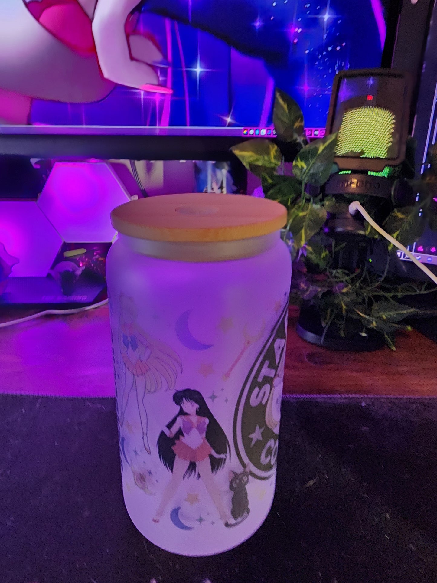 Sailor Moon