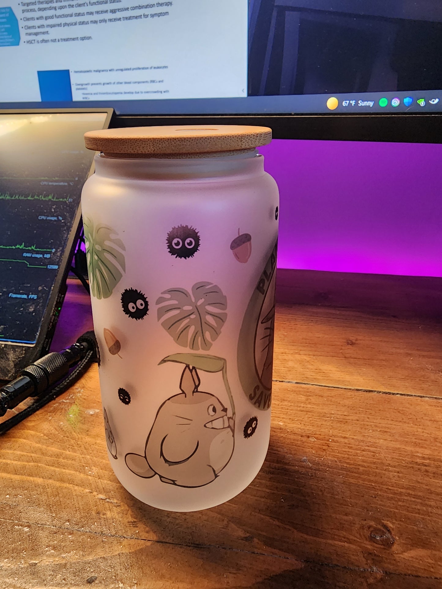 Forest Totoro