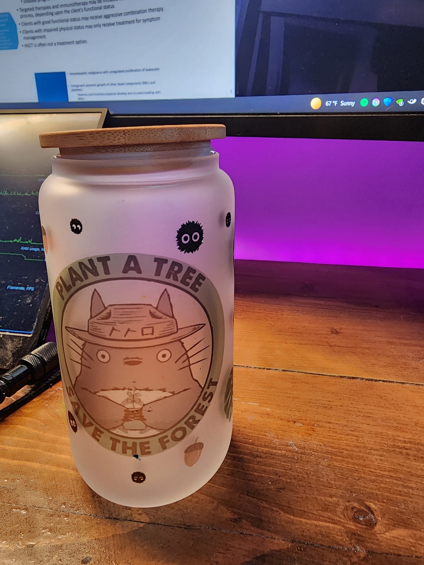 Forest Totoro